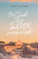 Bij God is alles mogelijk - Sijtje Tollenaar - ebook
