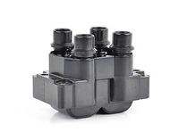 Bobine BSG30835003