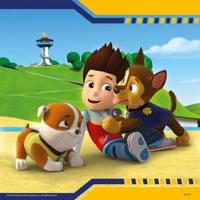 Ravensburger Paw patrol puzzel - helden met vacht, 3x49st.