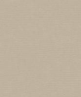 Dutch Wallcoverings Linnen Touch Plain - Beige