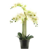 Rt phalaenopsis bora x5 in pot 60 cm white kunstplant Buitengewoon de Boet - Buitengewoon de boet