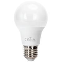 Energiezuinige LED Lamp E27 8W - Koud Wit 6500K