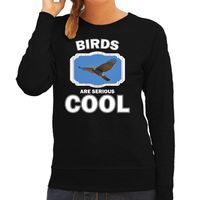 Dieren vliegende havik roofvogel sweater zwart dames - birds are cool trui - thumbnail