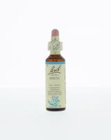 Bach Beech/beuk