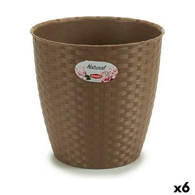 Grondlegger Stefanplast Bruin Plastic 24 x 22,5 x 24 cm (6 Stuks)