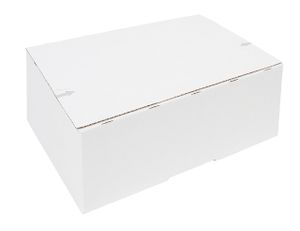 Postpakketbox IEZZY 4 305x215x110mm wit