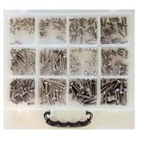 Bofix assortimentsdoos inbusbouten bolkop rvs 214298
