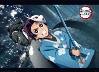 Poster Demon Slayer Tanjiro and Urokodaki 52x38cm