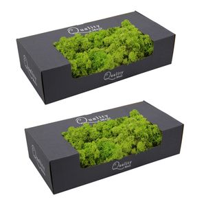 2x pakjes decoratie/hobby mos licht groen 500 gram