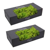 2x pakjes decoratie/hobby mos licht groen 500 gram