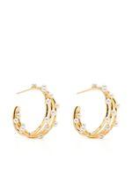 DOWER AND HALL boucles d'oreilles serties de perles - thumbnail