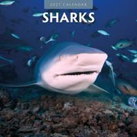 Haaien Kalender 2027