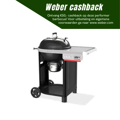 Weber Houtskool barbecue performer 57cm