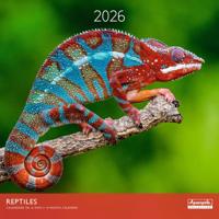 Reptielen Kalender 2026 Reptielen Kalender 2026