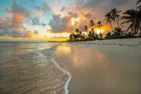 Alexsar Art schilderij Glas art strand palmbomen 120x80cm
