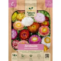 Strobloem zwitserse reuzen mengsel 100st