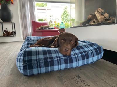 Dog's Companion® Hondenkussen fleece cosy blue superlarge