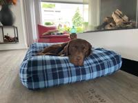 Dog's Companion® Hondenkussen fleece cosy blue superlarge Dog's Companion® Hondenkussen fleece cosy blue superlarge