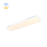 Philips Plafondlamp 120x30cmHue Aurelle - White Ambiance WIt - 929003099101