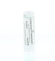 Homeoden Heel Sarsaparilla officinalis D6 6 Gram