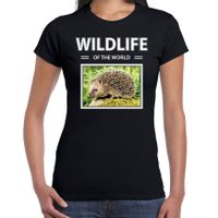 Egel t-shirt met dieren foto wildlife of the world zwart voor dames - thumbnail