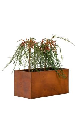 Bloembak Hudson middel 90x50x50 cm Tuindeco - Tuindeco
