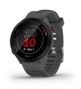 Garmin 010-02562-13 smartwatch / sport watch MIP 42 mm Grijs GPS