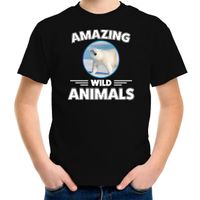 T-shirt ijsberen amazing wild animals / dieren zwart voor kinderen - thumbnail