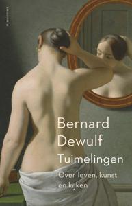 Tuimelingen (Paperback)