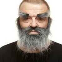 Valse baard My Other Me Grijs