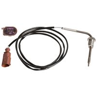 Uitlaatgastemperatuursensor 109387