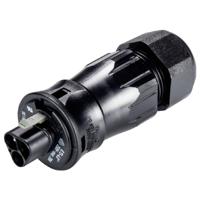 Wieland Electric 96.032.4553.1 Steekverbinder