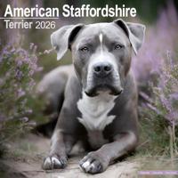 American Staffordshire Terrier Kalender 2026
