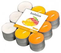 Bolsius Geurtheelicht multi colour brick 18 mango