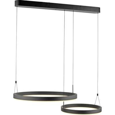 Paul Neuhaus ESKO 2360-18 LED-hanglamp LED LED vast ingebouwd 41 W Zwart