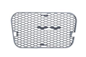 Ventilatiegrille, bumper 6502076842915P
