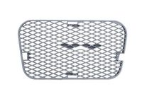 Ventilatiegrille, bumper 6502076842915P