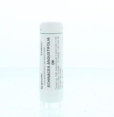 Echinacea angustifolia D6