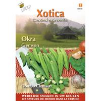 3 stuks Xotica okra - thumbnail