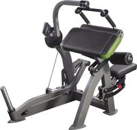 X-Line triceps machine XR209