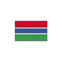 Gevelvlag/vlaggenmast vlag Gambia 90 x 150 cm   -