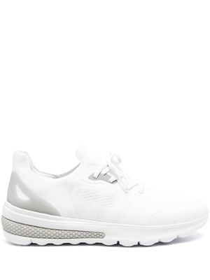 Geox baskets Spherica - Blanc