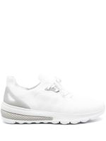 Geox baskets Spherica - Blanc