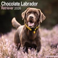 Labrador Retriever Bruin Kalender 2026