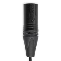 Tentacle to XLR cable
