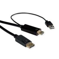 ROLINE 11.04.5991 video kabel adapter 1 m HDMI + USB DisplayPort Zwart