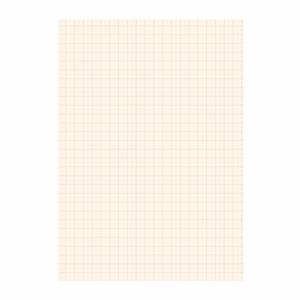 A4 papier met millimeter blokken - 25 vellen - 80 gram - blokjes papier