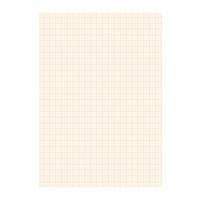A4 papier met millimeter blokken - 25 vellen - 80 gram - blokjes papier