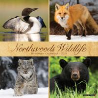 Wildlife Kalender 2026