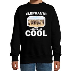 Dieren kudde olifanten sweater zwart kinderen - elephants are cool trui jongens en meisjes